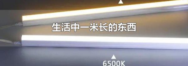 生活中一米长的东西