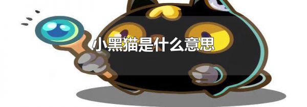 小黑猫是什么意思