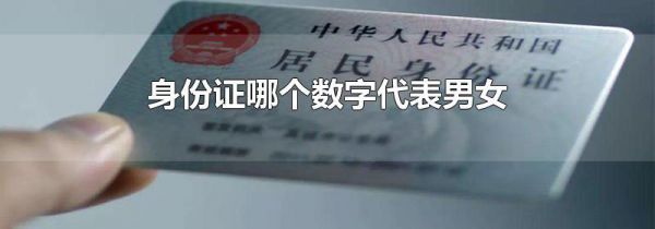 身份证哪个数字代表男女
