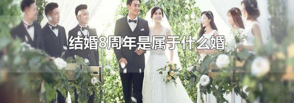结婚8周年是属于什么婚