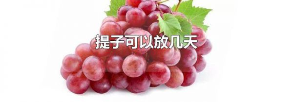提子可以放几天
