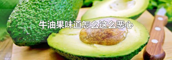 牛油果味道怎么这么恶心