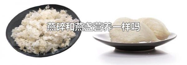 燕碎和燕盏营养一样吗