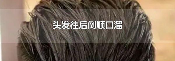 头发往后倒顺口溜