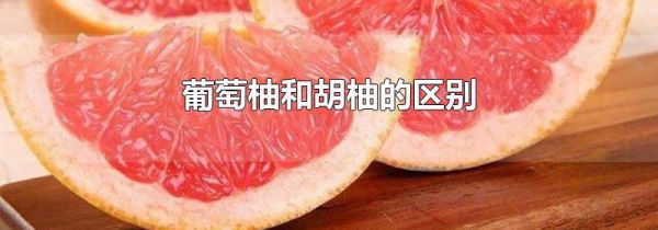 葡萄柚和胡柚的区别
