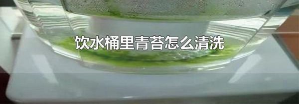 饮水桶里青苔怎么清洗