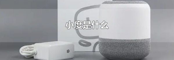 小度是什么
