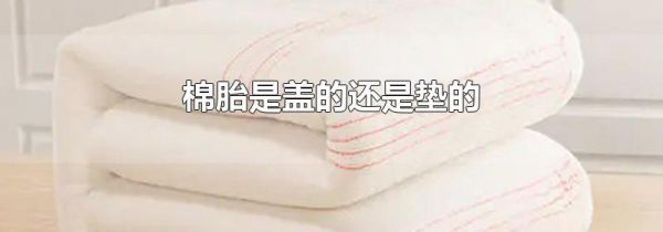 棉胎是盖的还是垫的