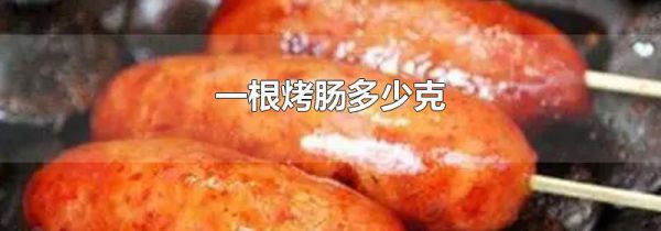 一根烤肠多少克