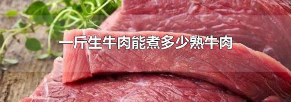 一斤生牛肉能煮多少熟牛肉