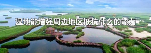 湿地能增强周边地区抵抗什么的能力