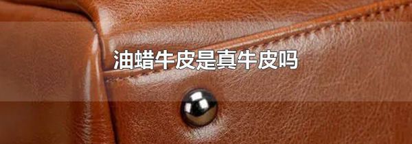 油蜡牛皮是真牛皮吗