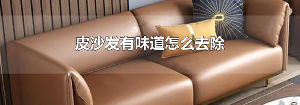 皮沙发有味道怎么去除