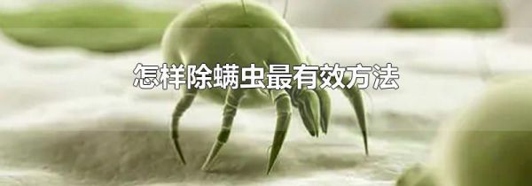 怎样除螨虫最有效方法