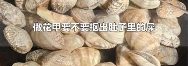 做花甲要不要抠出肚子里的屎
