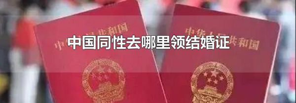 中国同性去哪里领结婚证