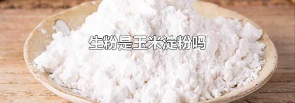 生粉是玉米淀粉吗