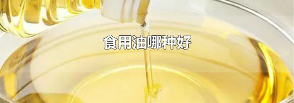 食用油哪种好
