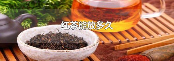 红茶能放多久