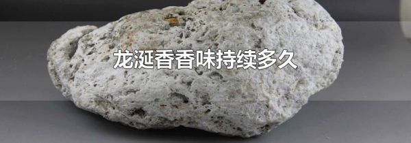 龙涎香香味持续多久