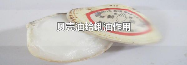 贝壳油蛤蜊油作用