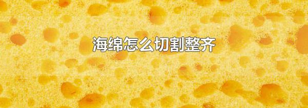 海绵怎么切割整齐