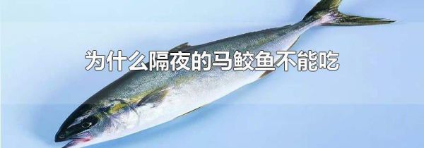 为什么隔夜的马鲛鱼不能吃