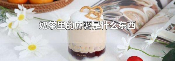 奶茶里的麻薯是什么东西