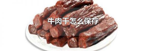 牛肉干怎么保存