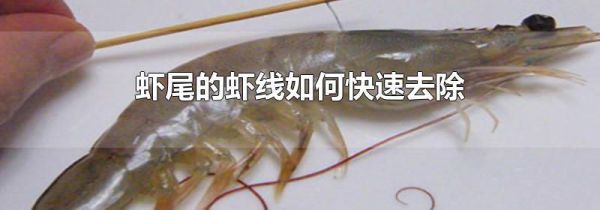 虾尾的虾线如何快速去除