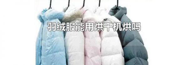 羽绒服能用烘干机烘吗