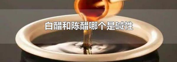 白醋和陈醋哪个是碱性