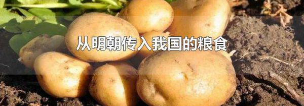 从明朝传入我国的粮食