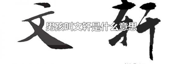 男孩叫文轩是什么意思