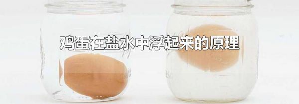 鸡蛋在盐水中浮起来的原理