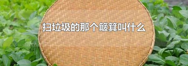 扫垃圾的那个簸箕叫什么