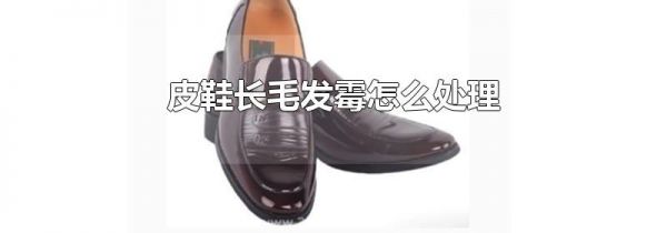 皮鞋长毛发霉怎么处理