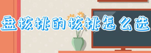 盘核桃的核桃怎么选