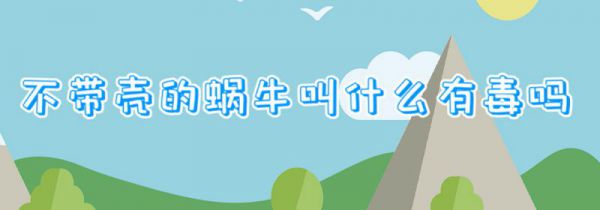 不带壳的蜗牛叫什么有毒吗