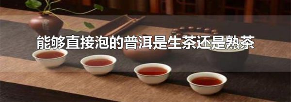 能够直接泡的普洱是生茶还是熟茶