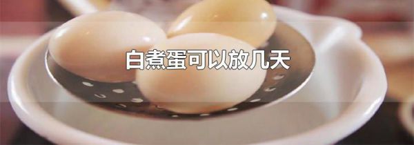 白煮蛋可以放几天