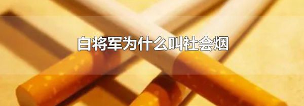 白将军为什么叫社会烟