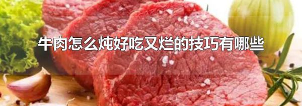 牛肉怎么炖好吃又烂的技巧有哪些