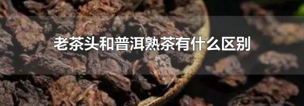 老茶头和普洱熟茶有什么区别