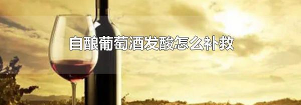 自酿葡萄酒发酸怎么补救