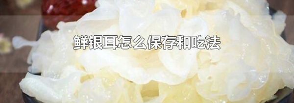 鲜银耳怎么保存和吃法