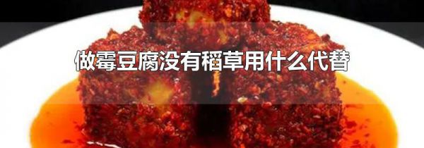 做霉豆腐没有稻草用什么代替