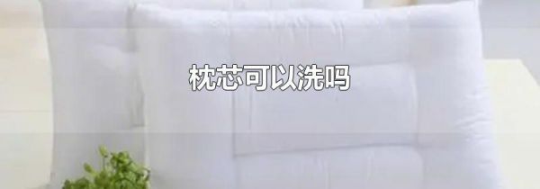 枕芯可以洗吗