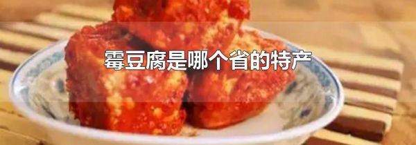 霉豆腐是哪个省的特产