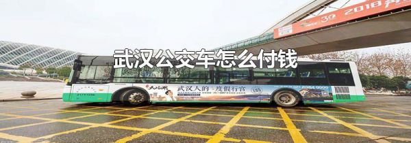 武汉公交车怎么付钱